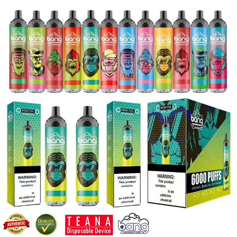 

Bang King 6000 Puffs E Cigarette Mesh Coil Rechargeable Disposable Vape Pen 850mAh Battery Prefilled 14ml Pods Cartridges Bangvapes Cigarettes Device