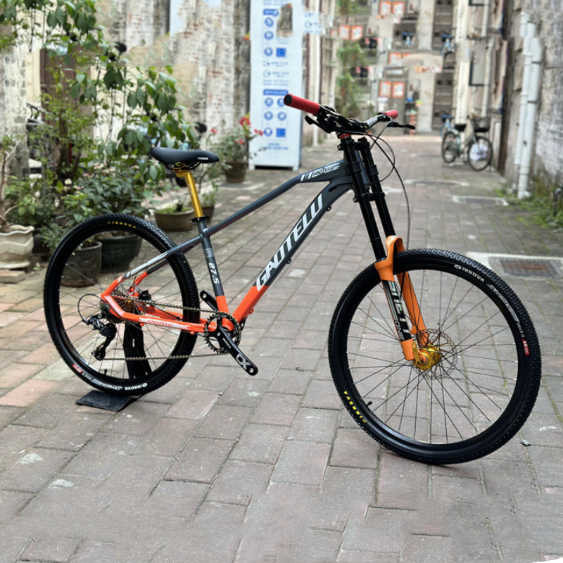 

29 Inch MTB Men's Bicycles Oil Disc Brake Aluminum Alloy Hill Climbing Cross Country Bikes Cheap Bicycles with Free Shipping