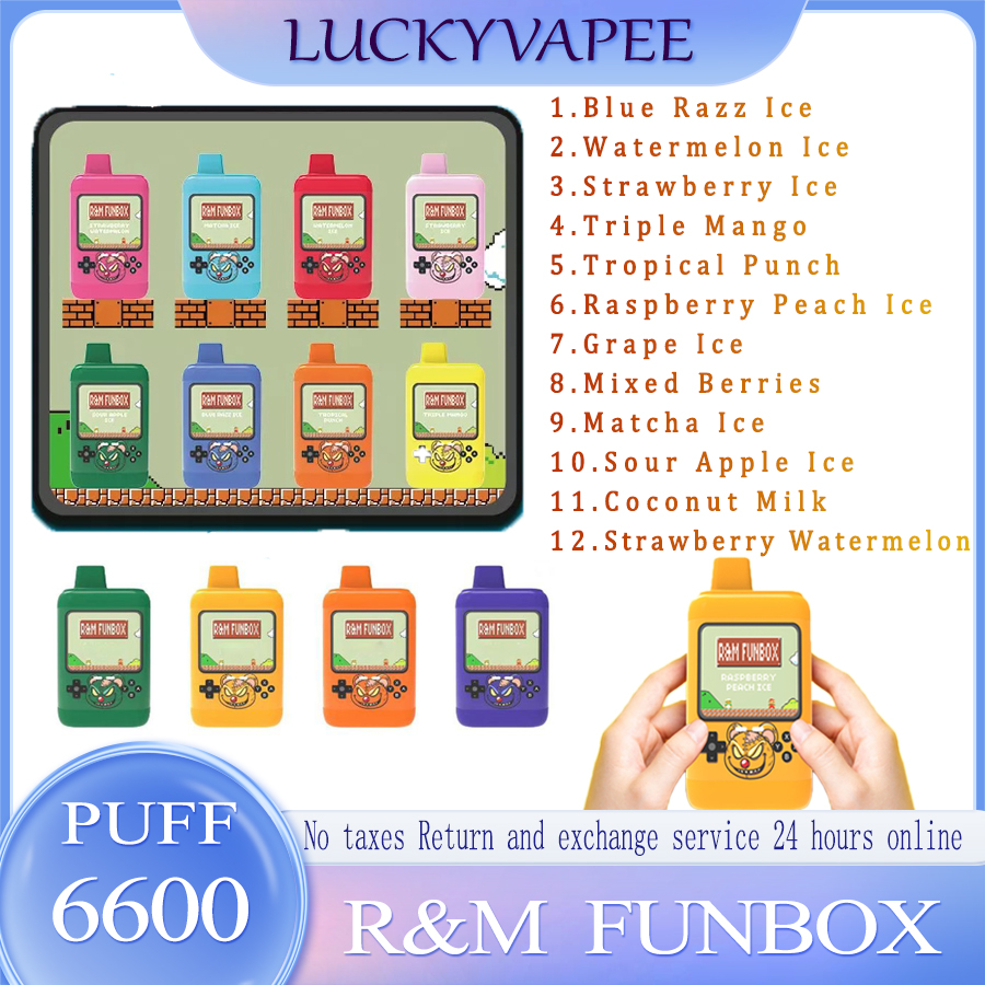 

100% Original R&M Funbox 6600 Puffs Disposable E Cigarette Bar Vape Pen 14ml Prefilled Pod Rechargeable Battery 12 Flavors Elf Box