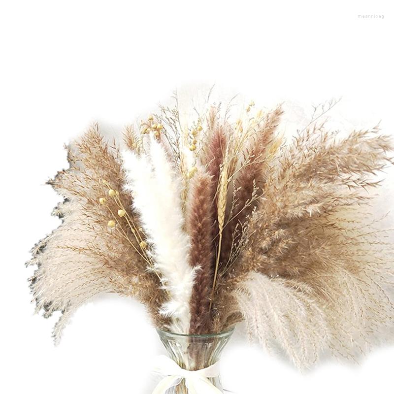 

Decorative Flowers A63I Boho Decor Pampas Grass Fluffy Floral 80 Stems Dried Arrangements (Pampas Wheat Limonium), Chocolate
