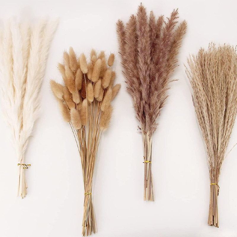 

Decorative Flowers Dried Flowers Pampas Grass for Boho Home Room Decor Natural Brown White Fluffy Pampas Floral Bouquet for Wedding Western Bedroom Table Bathroom, 01#*15pcs