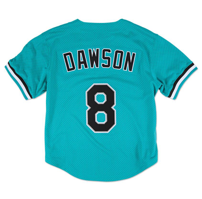 

Stitched Baseball Jerseys 8 Andre Dawson Mitchell Ness jersey 1995 Men Women Youth S-4XL retro jersey