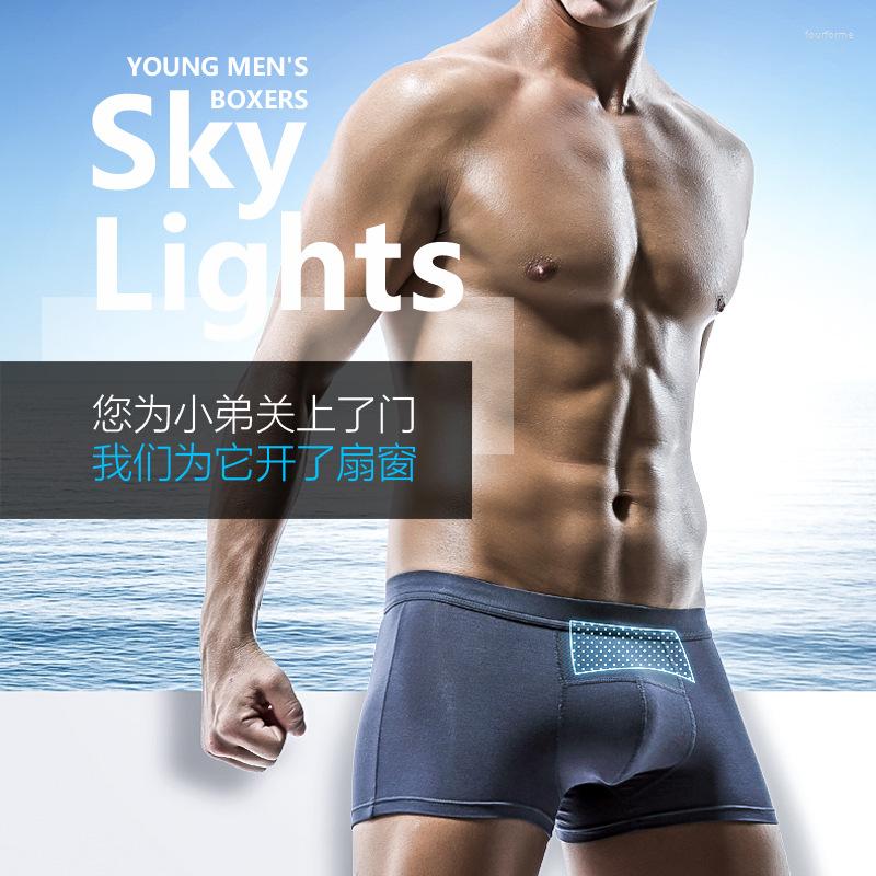 

Underpants AOELEMENT Summer Men's Modal Ice Silk Breathable Mesh Boxer Pants Pure Color U Convex Large Size Briefs, Black