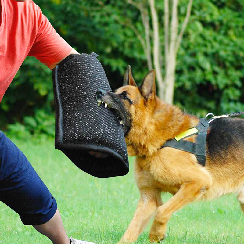

Dog Training Obedience Bite Arm Protection Sleeve Pet Biting Tool For Medium Large German Shepherd Pitbull Accessories Supplies 230313