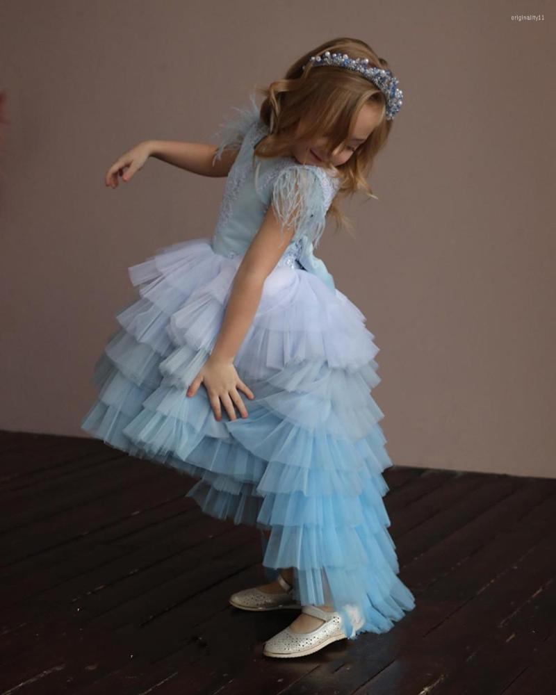 

Girl Dresses Flower Girls For Wedding Lace Long Train First Communion Party Princess Gown Pageant, Beige