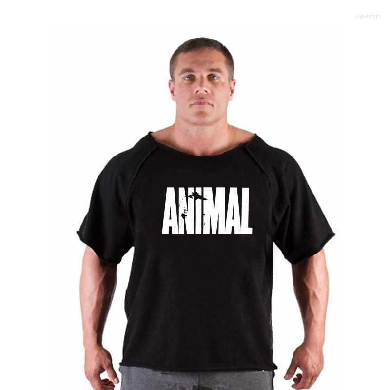 

Men's T Shirts ANIMAL Men Short Sleeve Cotton T-shirt Summer Casual Fashion Gym Fitness Bodybuilding Shirt Male Loose Tees Tops Clothing, Red logo white