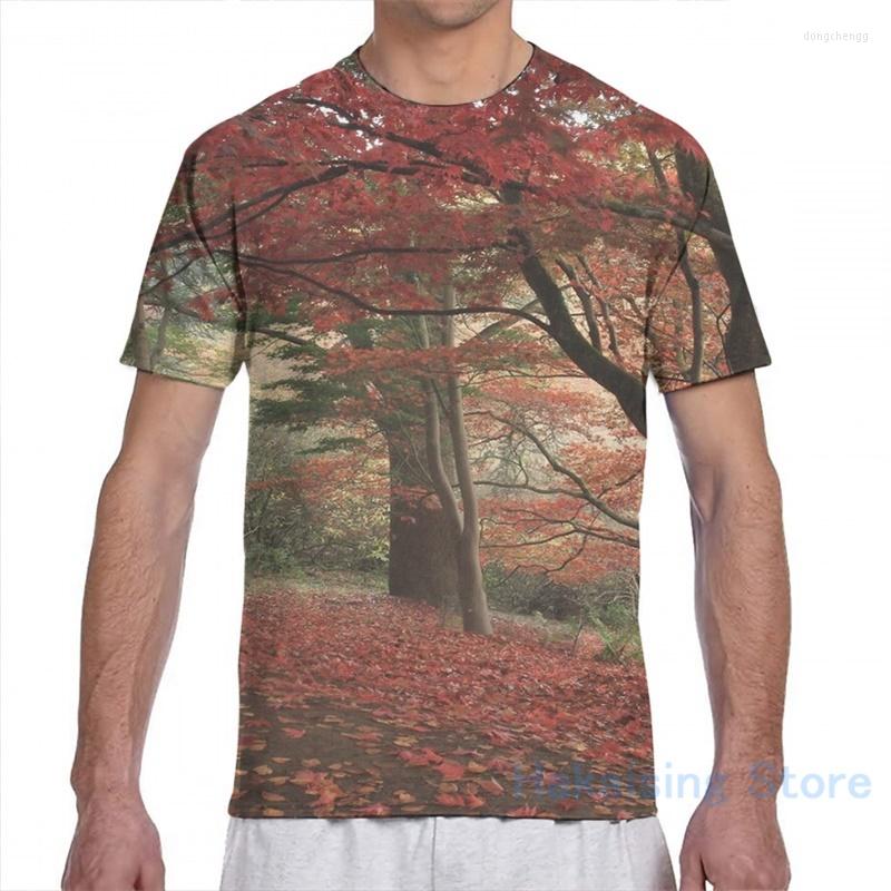 

Men's T Shirts Winkworth Arboretum Men T-Shirt Women All Over Print Fashion Girl Shirt Boy Tops Tees Short Sleeve Tshirts, 2-men