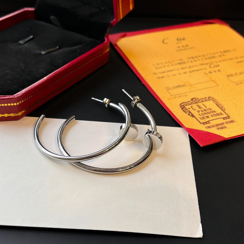 

Fashion Charm Brand Jewelry Earrings Popular Women Silver Plated Earrings Exquisite Luxury Design Accessories Romantic Campus Couple Family Gift Christmas