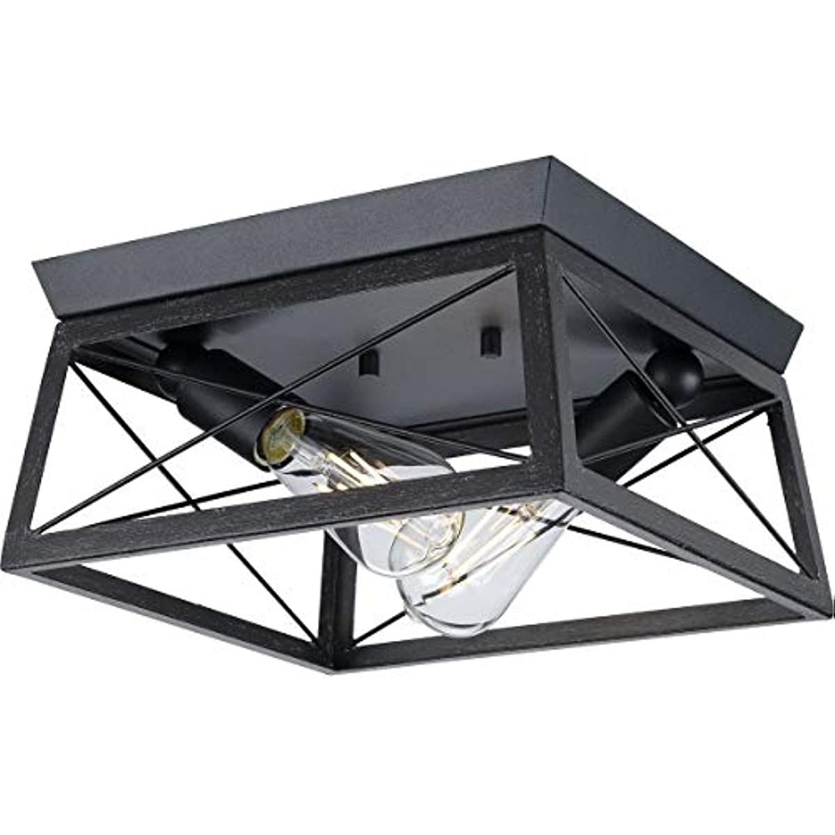 

Progress Lighting Briarwood Collection 2-Light Cerused Black Farmhouse Flush Mount Ceiling Light