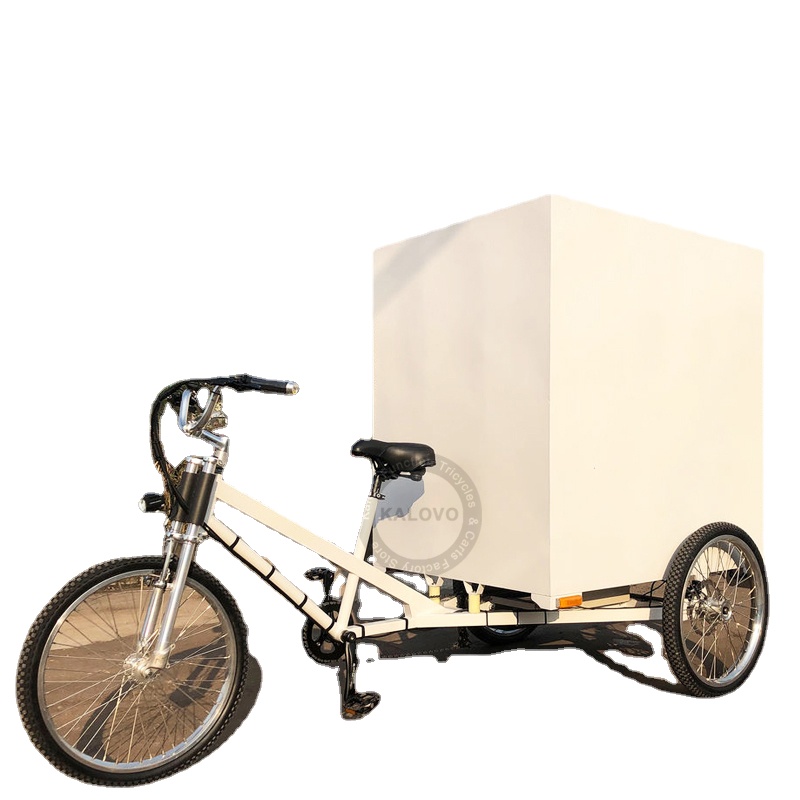 

Strong Power Economical Electric Cargo Tricycle With 500w Motor Goods Delivery Trike For Sale