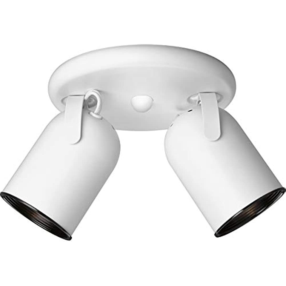 

Progress Lighting P6149-30 2-Light Round Back Directional Metal Cylinder Style Light
