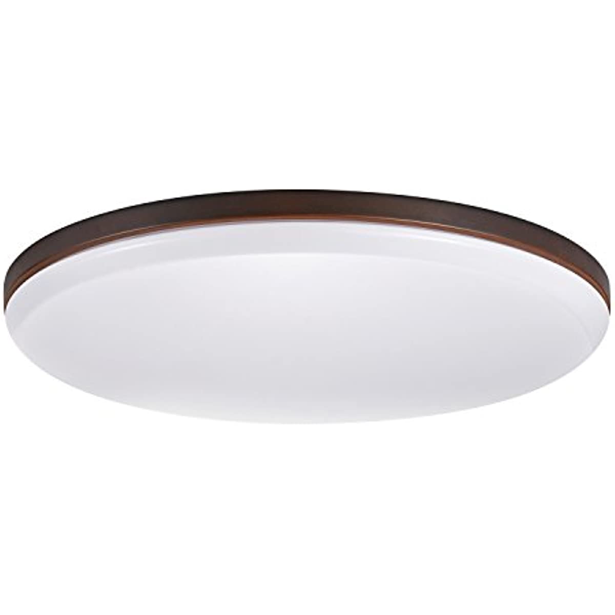 

Ellington LED Integrated Flush Mount Ceiling Light, Dark Bronze Finish, Frosted Shade, Energy Star Certified, Ultra Slim Design
