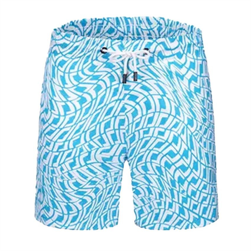 

Mens Quick-drying swimsuit printing plate Beach shorts Summer Trousers Men Joggers Solid Cotton Male Short Length Breathable Mesh Sportswear designers beach pants