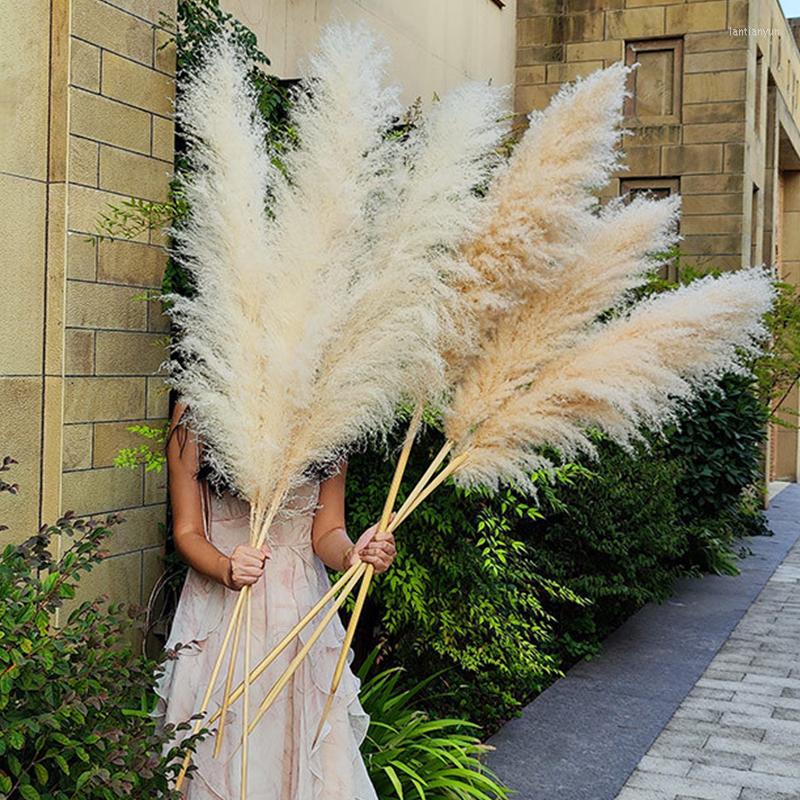

Decorative Flowers 120cm Natural Dried Flower Reed Pampas Grass Boho Home Decor Wedding Decorations Farm Background, Gray