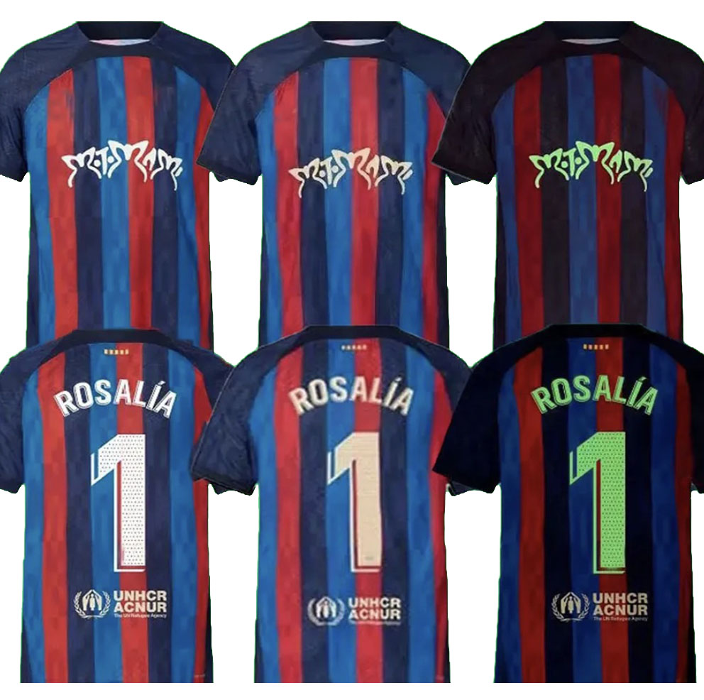 

22 23 PEDRI LEWANDOWSKI soccer jerseyS 4th GAVI camiseta de futbol FERRAN 2022 2023 FC ANSU FATI RAPHINHA barcelona ERIC football shirt men barca kit kids equipments, Purple