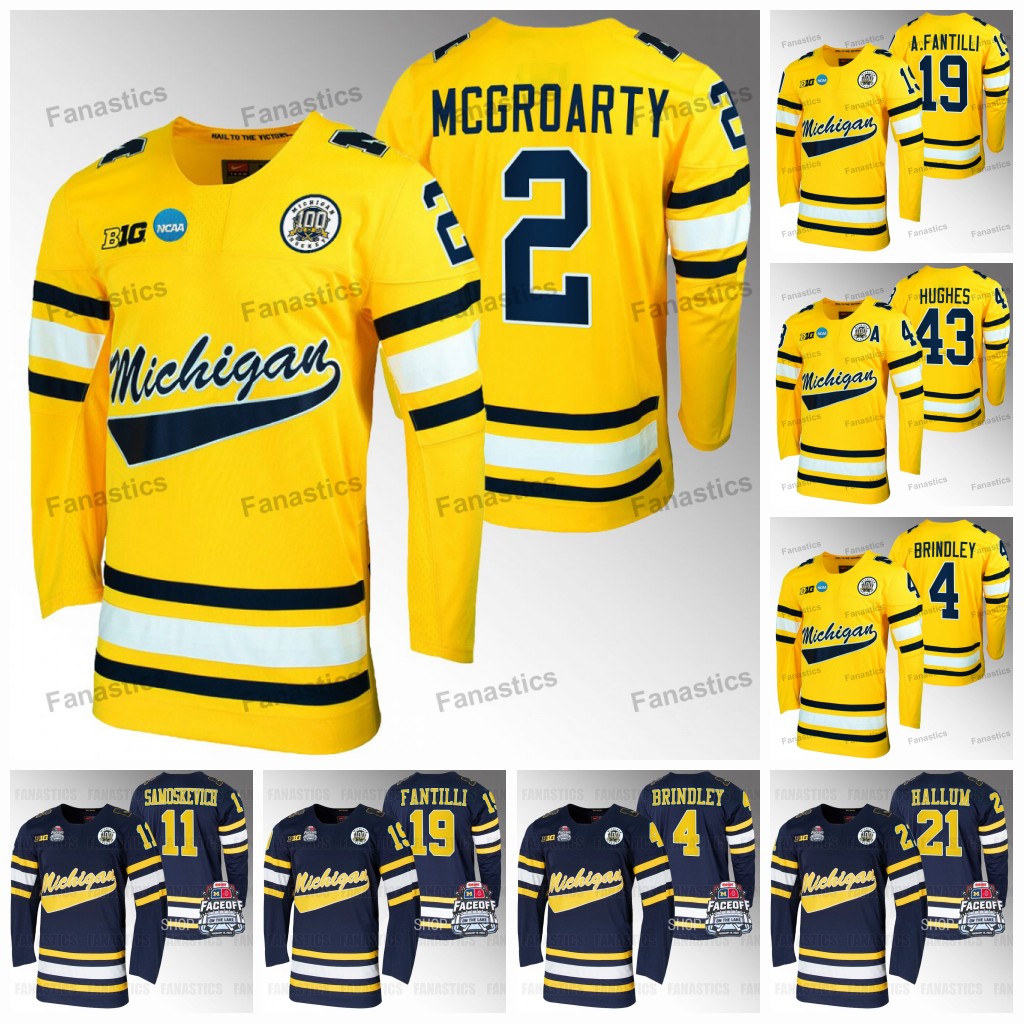

2023 Wolverines Tournament Jersey Rutger McGroarty Gavin Brindley Adam Fantilli 2023 Luke Hughes Faceoff On The Lake Jersey Jackson Hallum Eric Ciccolini Michigan, Black mens s-3xl