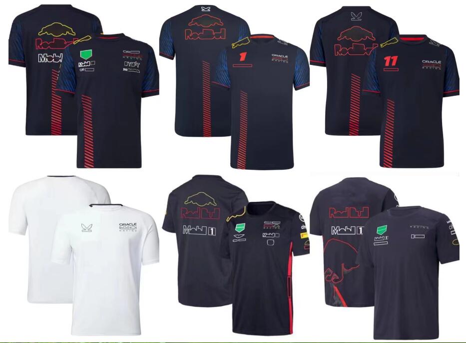 

2023 New F1 Team Polo Jersey F1 Racing T-shirt Same Style Customization