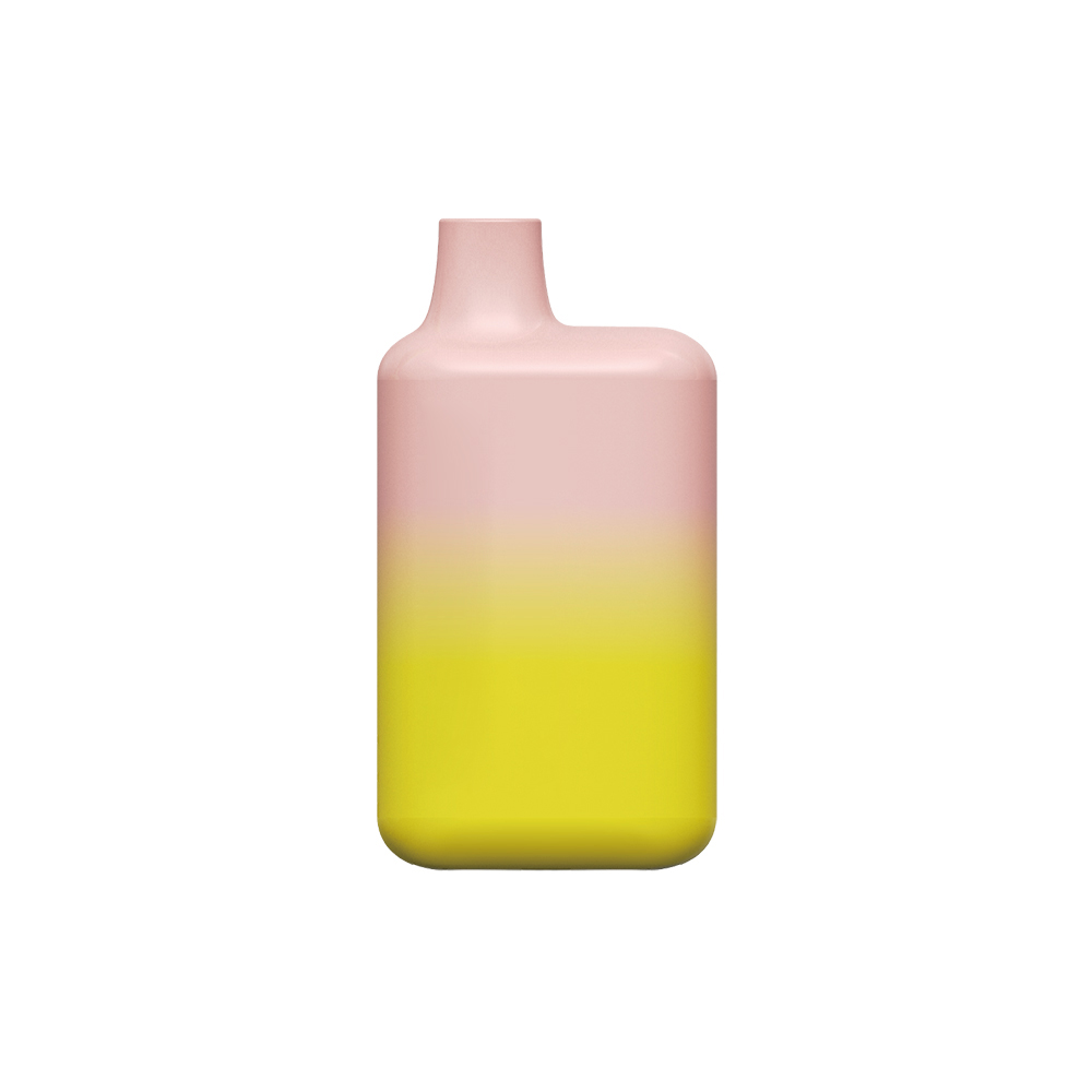 

13mL E-liquid 5000 Puffs Disposable Vape Pen Type-C Rechargeable Box Vaporizer