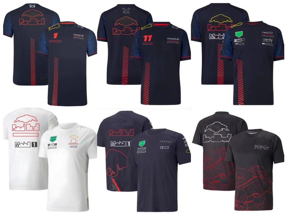 

F1 racing T-shirt polyester quick-drying team crew neck POLO shirt with the same style of customization