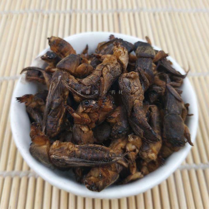 

Supplies Wild Dried Mole Cricket 250g/500g Per Pack