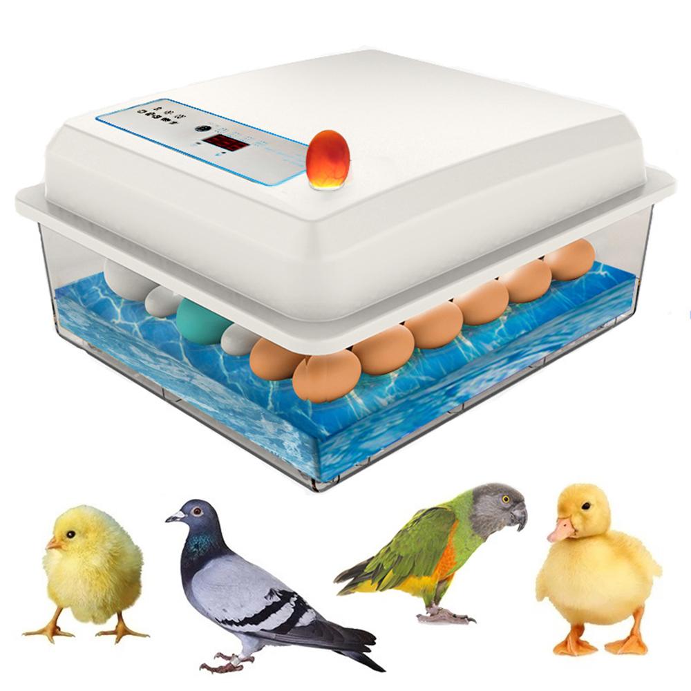 

Supplies 20 Eggs Incubator Egg Incubator Fully Automatic Incubator Household Brooder Farm Chicken Incubator Bird Egg Incubator