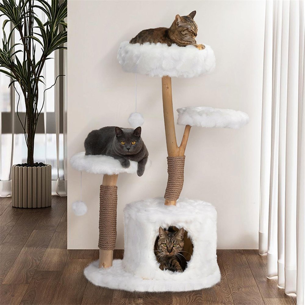 

31 5 Modern Tree for Adult Cats, Natural Branch Tree Tower for Indoor Cats with Condo and Climbing Perches, Kitten Scratching Tree, Gif