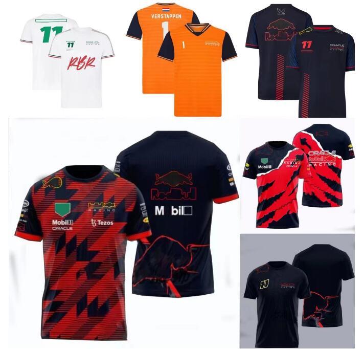 

F1 racing short sleeve T-shirt summer team downhill jersey same style customization