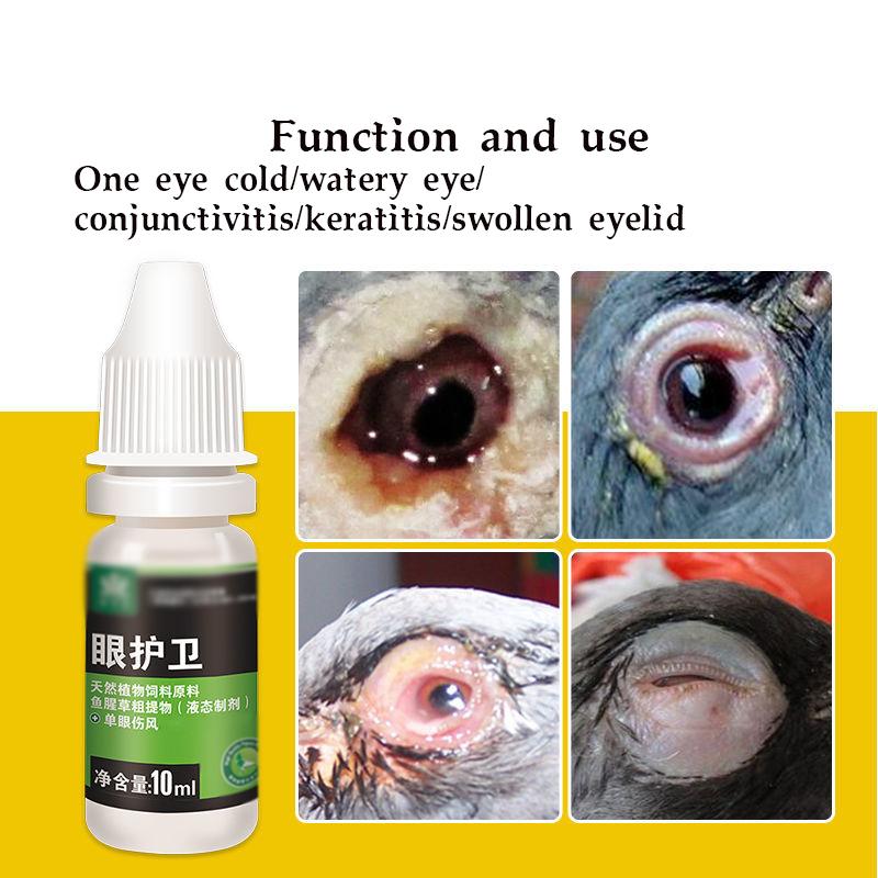 

Supplies Dove One Drop Spirit One Eye Cold Dove Parrot Bird Racing Pigeon Carrier Pigeon Tears Swelling 10ml