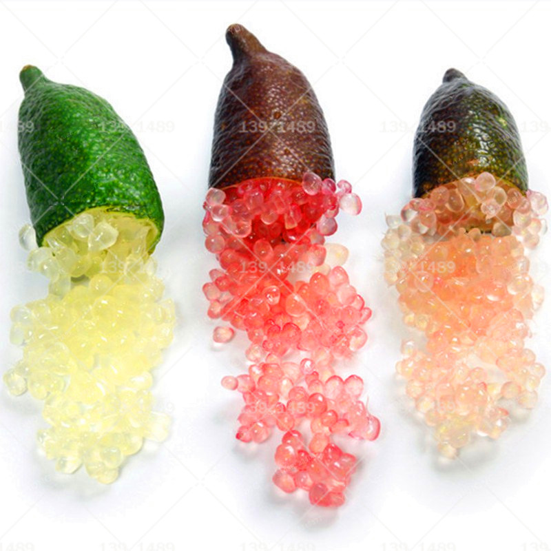 

100pcs Seeds Mini Finger Lime Tree Rare Citrus Australasica Fruit World's Most Expensive Fruits for Home Garden Potted Plants