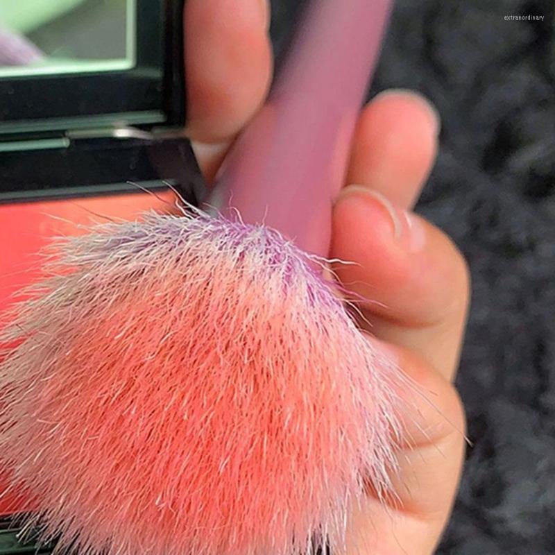 

Makeup Brushes Universal Blush Brush Portable Eyeshadow Birthday Gift
