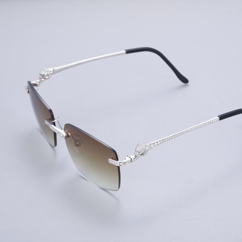 

Sunglasses Pass Diamond Luxury Glasses Stainless Steel Handmade Setting VVS Moissanite Iced Out For Men Women