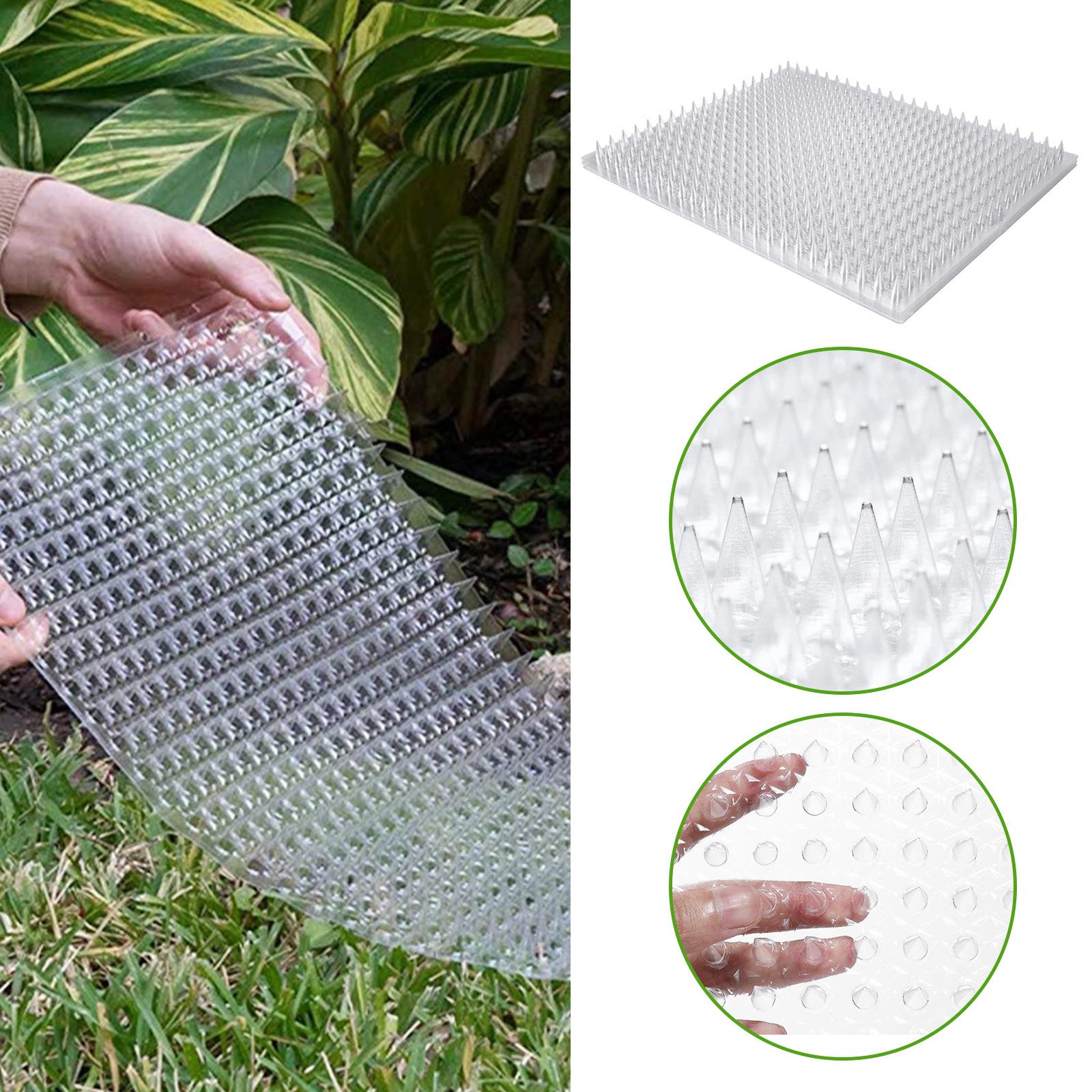 

Furniture 6PCS Transparent Cat Repellent Mat Outdoor Scat Mat Garden Anticat Net Pet Deterrent Mat Train Spike Plant Protection Mesh Tool