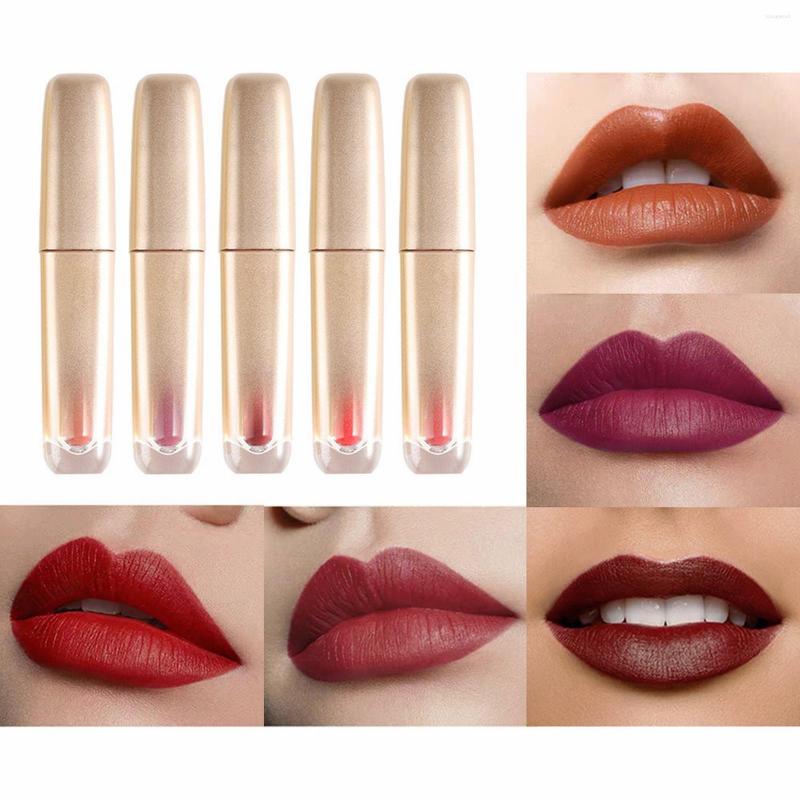 

Lip Gloss Gouache Glaze Lifter Hydrating With High Shine For Fuller Looking Lips 3g Pigment