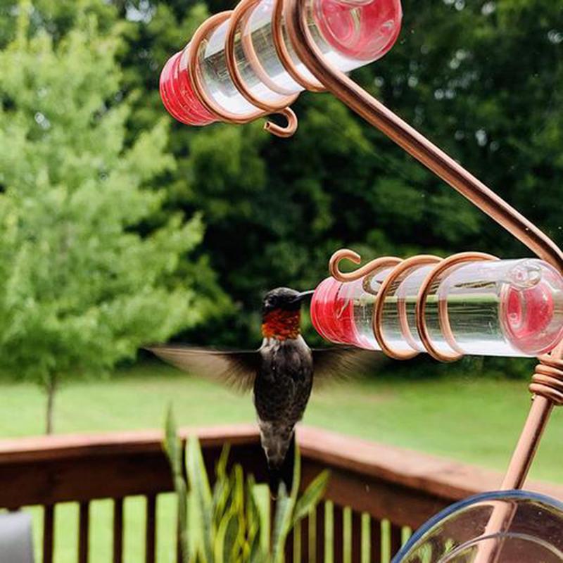 

Supplies Garden Bird Feeder Supplies Hummingbird Feeder Drinker Suction Cup Easy To Clean Deck Garden Decor Bird Feeders for Wild Birds