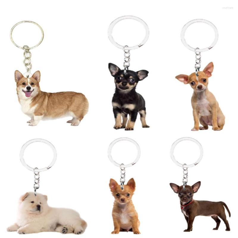 

Keychains Dog Keychain 6pcs/set Animal NOT 3D Llaveros Kawaii For Him Her Girlfriend Boyfriend Gift Car Key On The Backpack Anime Trendy