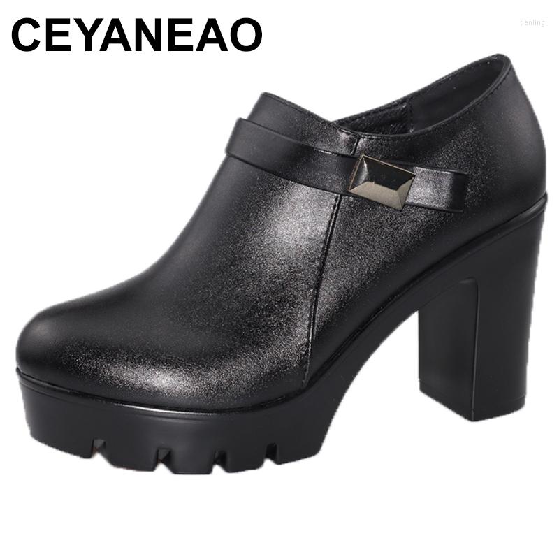 

Designer new Dress Shoes Plus Size 32-43 Quality Soft Leather Platform Pumps Women Fall Winter 2023 Deep Mouth Block womens Heels, Black 10cm
