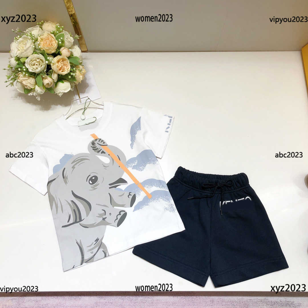 

luxury Summer Tracksuits KIds Clothes Child Sets Baby Size 100-160 CM 2pcs Elephant printed T-shirt and shorts New product, #1