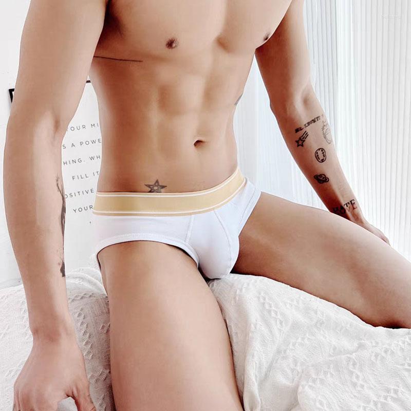 

Underpants Cotton Men' Panties Large Size Briefs Sexy Underwear, Black
