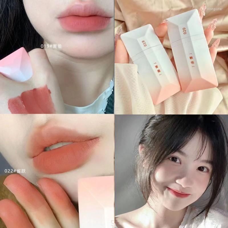 

Lip Gloss 10 Colors Girl's Velvet Matte Lipstick Blush Waterproof Long Lasting Sexy Lipgloss Non-Stick Cup Makeup Tint Cosmetic, 020