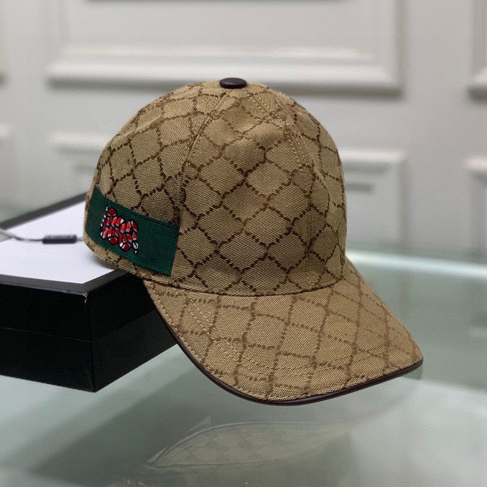 

Designer Cap Luxury Baseball Hat for Men Women Caps Multi Color Selection with Adjustable Size Classic Versatile modern fashion, Brown