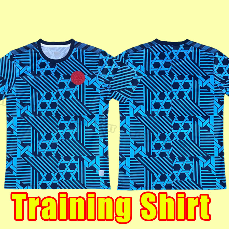 

Denmark 2023 2024 10 ERIKSEN Soccer Jerseys Customized 9 Braithwaite 4 KJAER 6 CHRISTENSEN 7 Skov 10 ERIKSEN 12 DOLBERG 20 YURARY 23 24 Men training suit