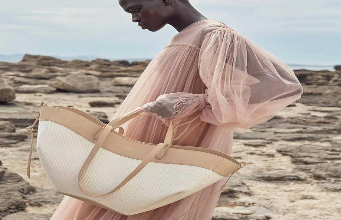 

French Niche Brand Polene Canvas Tote Bags 2022 Women Handbags Fashion Genuine Leather Ladies Large Capacity Shopping Bag5813895, Brown