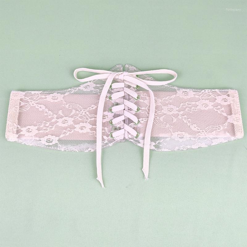 

Belts Corset Belt Waistband For Women Elastic Costume Waist Sexy See-through Underbust Tops, Pink