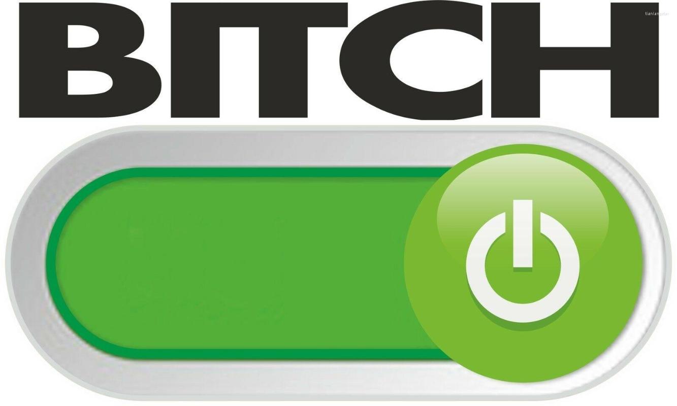 

Men' T Shirts Bitch Camiseta Mode En Gracioso Rude Lema Put Down Attitude Insulto, New shirzzz38574