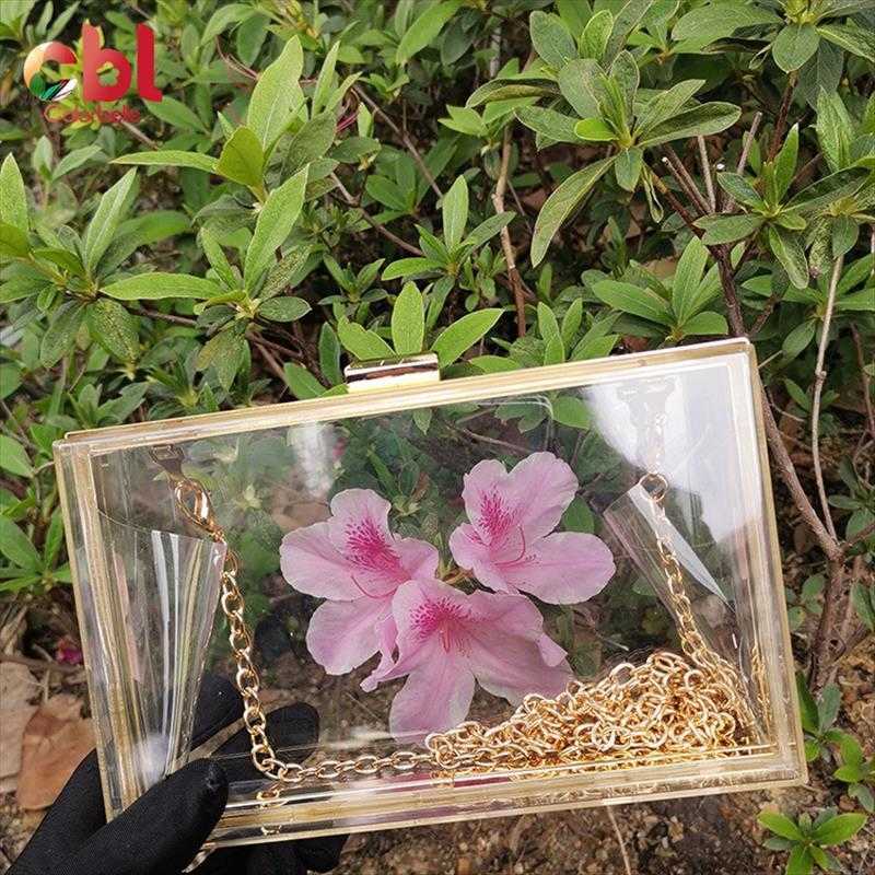 

Fashion Style Clutch Evening Bag Womens Transparent Dinner Chain Shoulder Messenger, Belt buckle