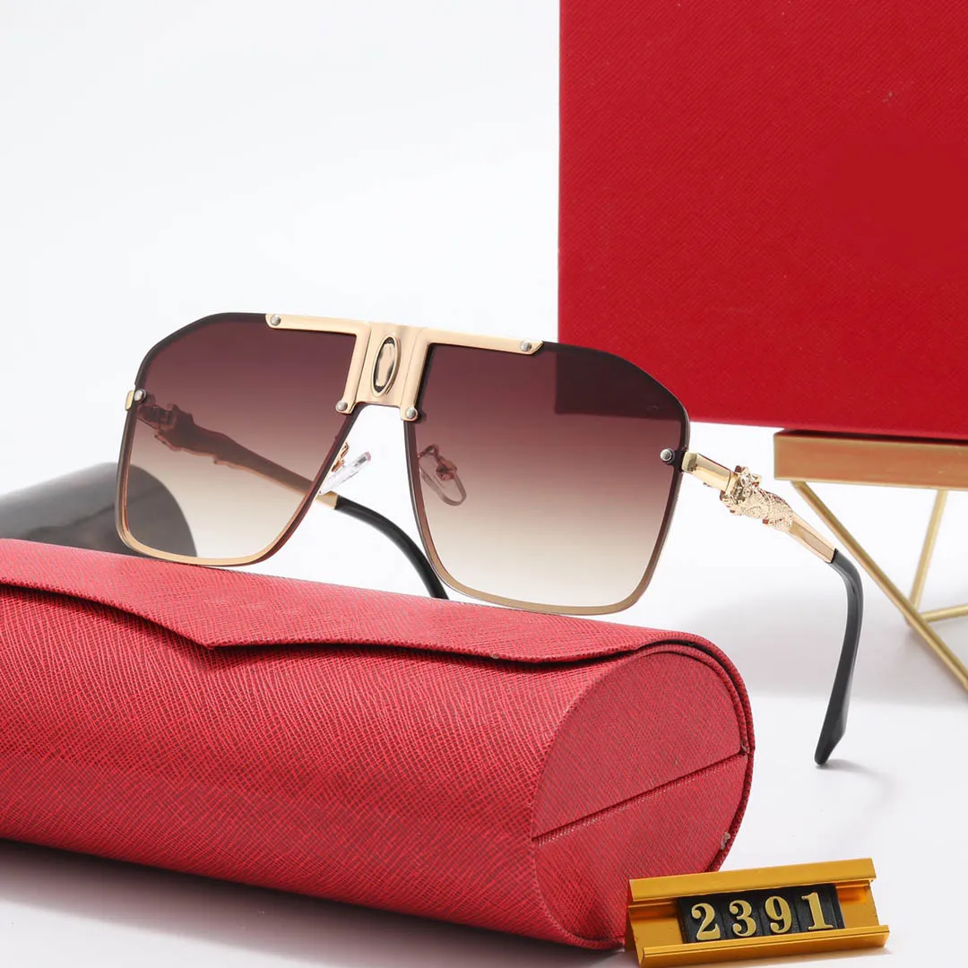 

"Stylish and Practical - Sunglasses That Will Keep You Looking Sharp"
