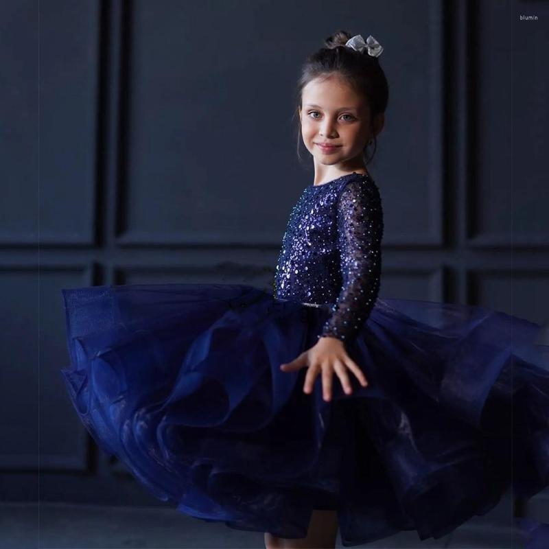 

Girl Dresses Customized Baby Girls Puffy Skirt Long Sleeve Infant Birthday Party Gown Christmas Year Dress Gift, Blue