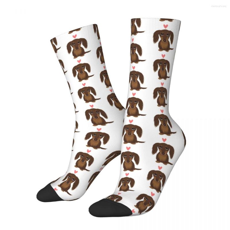 

Men's Socks Longhaired Chocolate Dachshund Men Women Happy Pets Animal High Quality Summer Autumn Winter Middle Tube Gifts, White