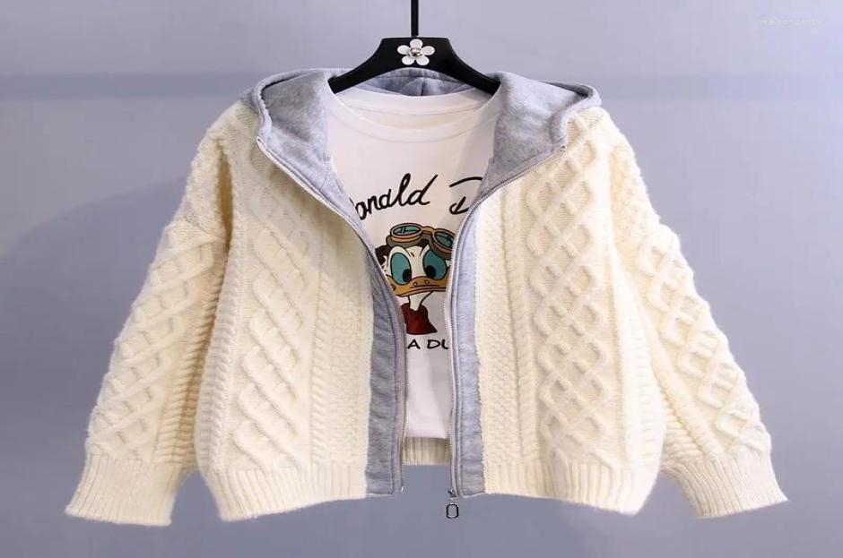 

Women039s Knits Spring Autumn Long Sleeve Sweater Cardigan Coat Women Korean Fashion Casual Knitted Female Hooded Jacket Zipper7704897, Beige