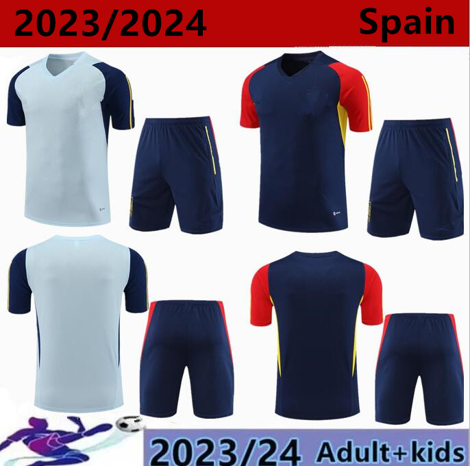 

23/24 Spanish Short Sleeve Sportswear PEDRI FERRAN MORATA A.INIESTA PEDRI Espana Camiseta Men Short Sleeve Set, Grey